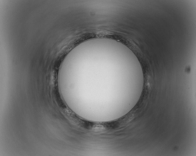 X0000112790519200908210942