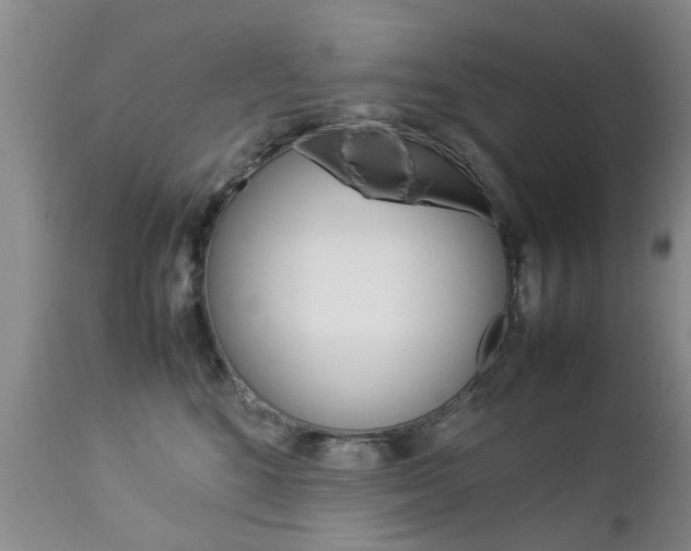 X0000112790520200908210942