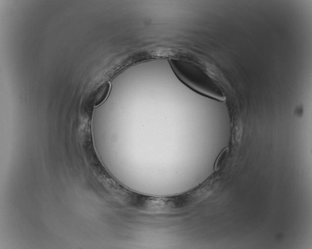 X0000112790521200908210942