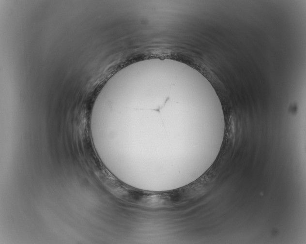 X0000112790522200908210942