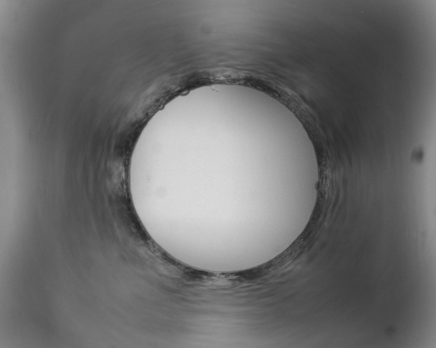 X0000112790523200908210942