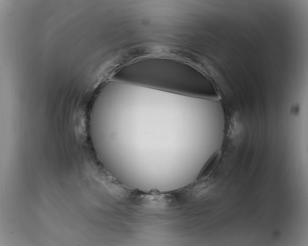 X0000112790524200908210942
