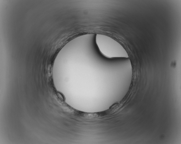 X0000112790525200908210942