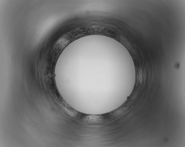 X0000112790526200908210942