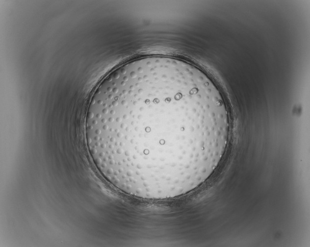 X0000112790529200908210941