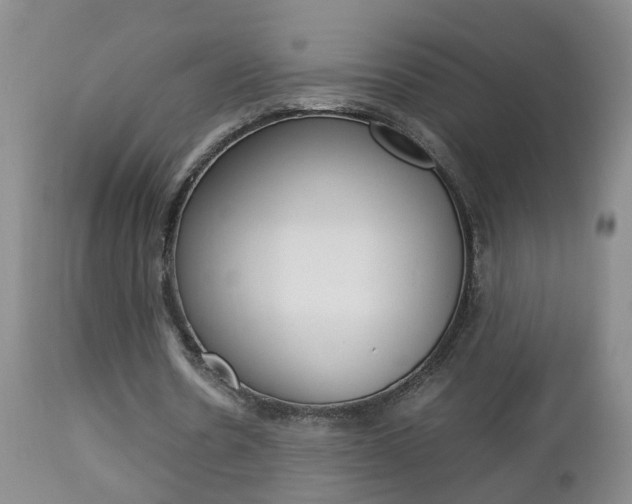 X0000112790530200908210941