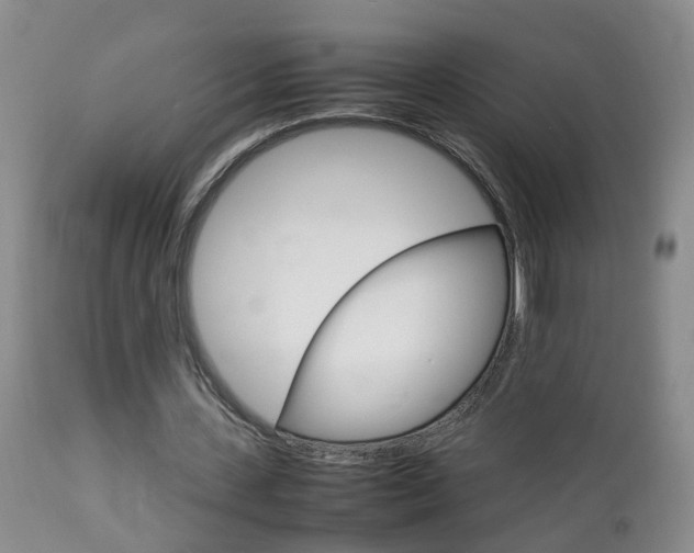 X0000112790531200908210941