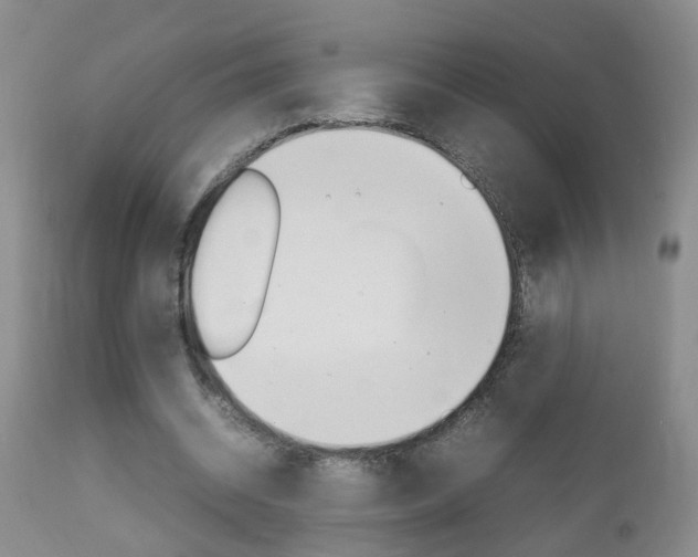 X0000112790534200908210941