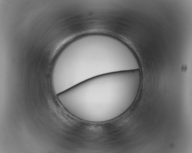 X0000112790535200908210941