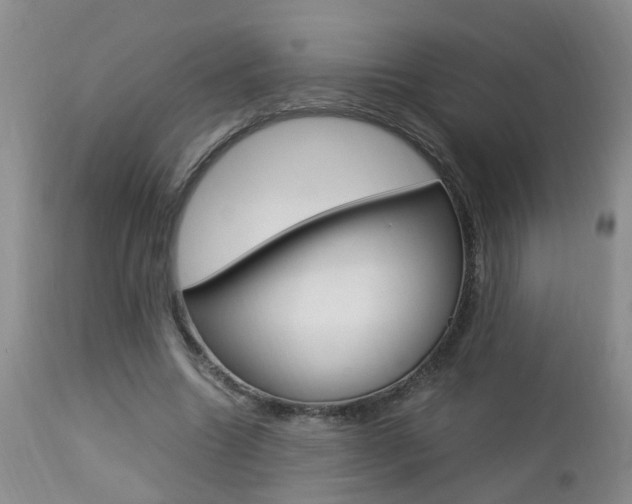X0000112790538200908210941
