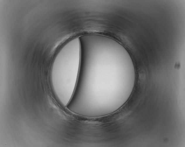 X0000112790539200908210941