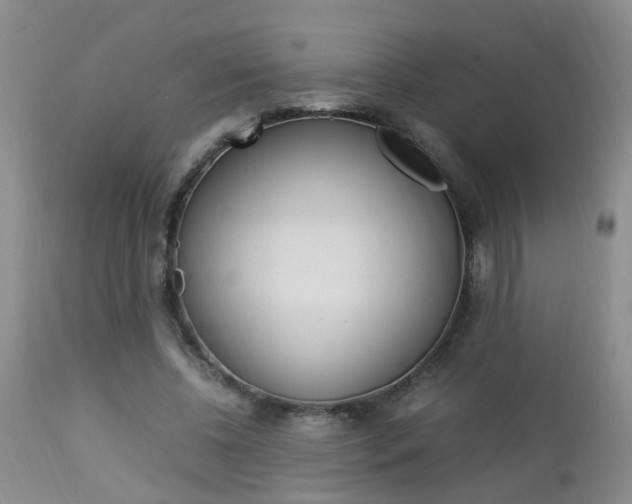 X0000112790540200908210941