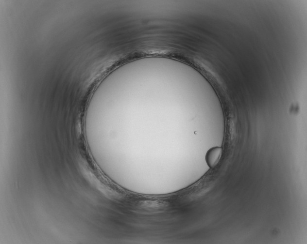 X0000112790541200908210941