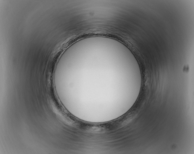X0000112790542200908210941