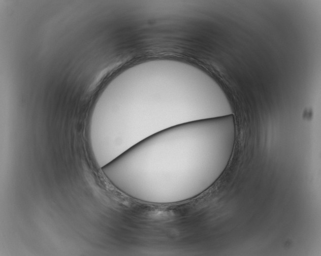 X0000112790543200908210941