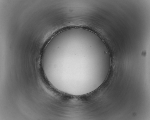 X0000112790544200908210941