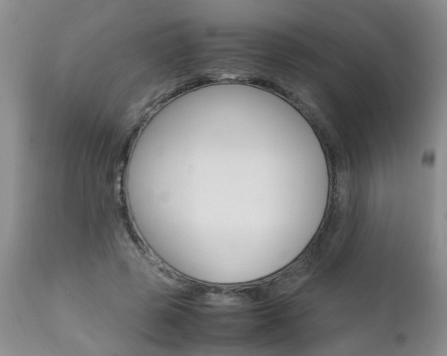 X0000112790545200908210941