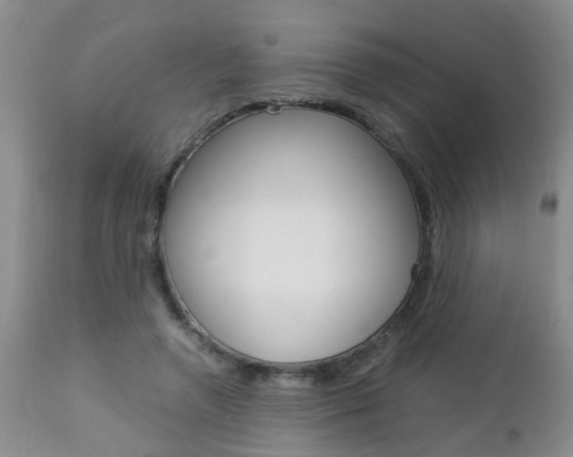 X0000112790546200908210941