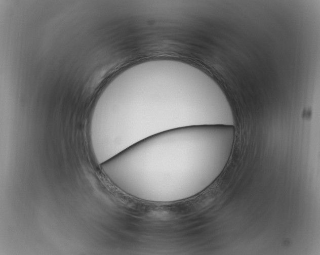 X0000112790547200908210941