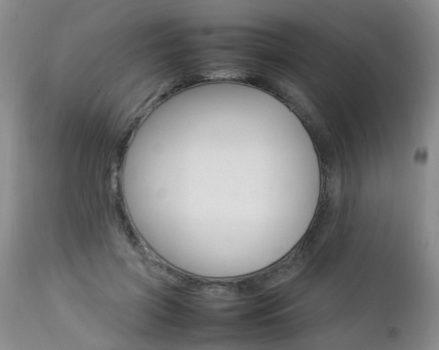 X0000112790549200908210941