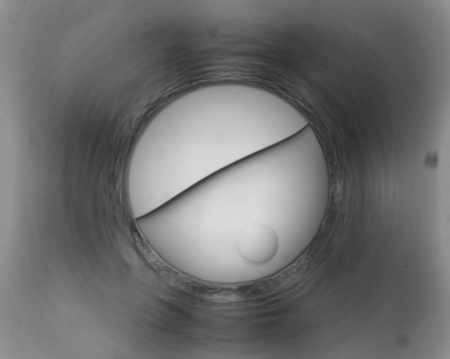 X0000112790551200908210941