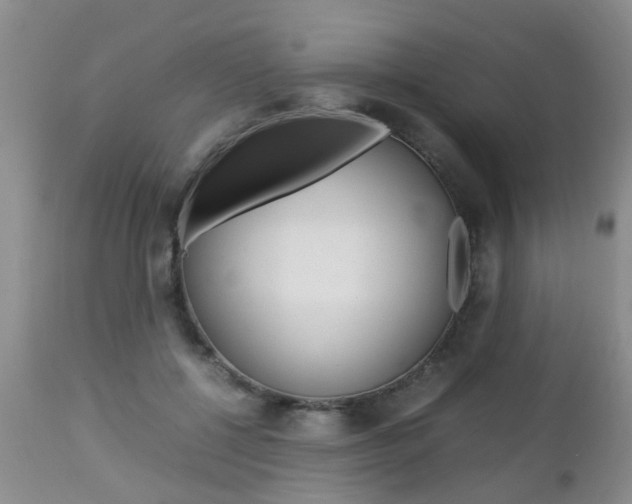 X0000112790552200908210941
