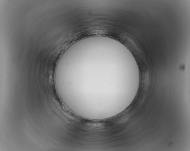 X0000112790553200908210941