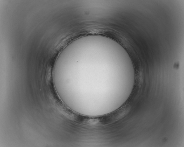 X0000112790554200908210941