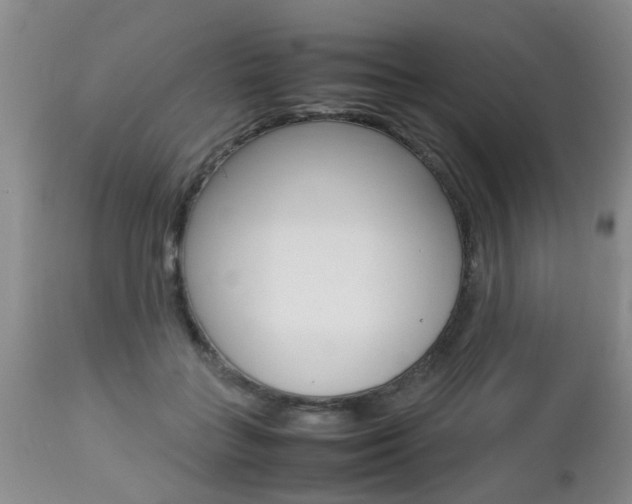 X0000112790555200908210941