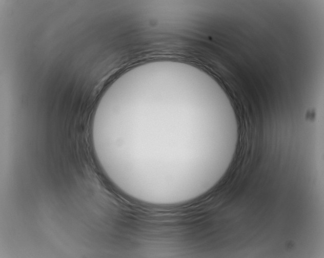 X0000112790556200908210941