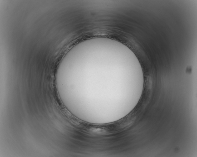 X0000112790557200908210941