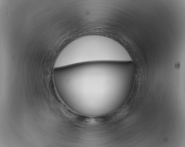 X0000112790558200908210941