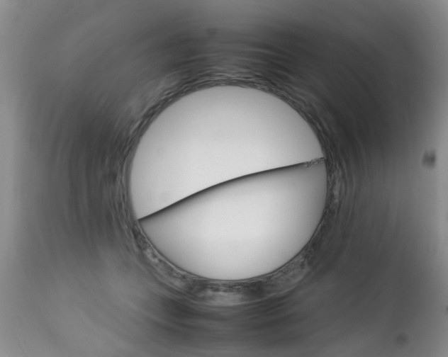 X0000112790559200908210941