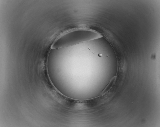 X0000112790560200908210941