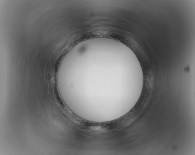 X0000112790561200908210941