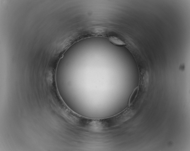 X0000112790562200908210941