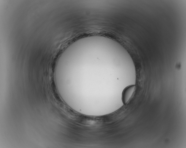 X0000112790563200908210942