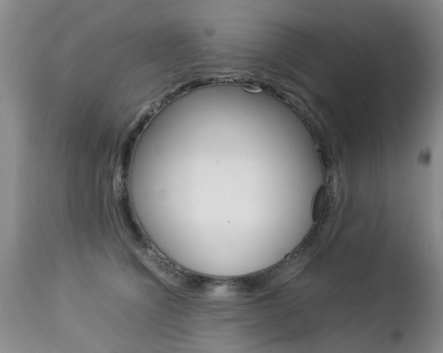 X0000112790564200908210942