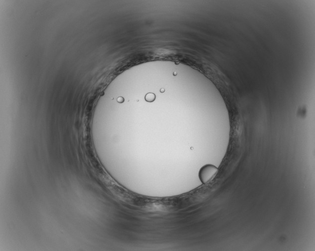 X0000112790565200908210942