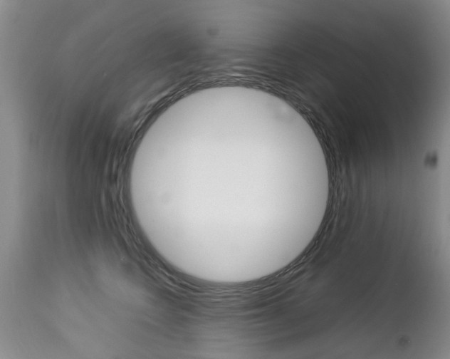 X0000112790566200908210942
