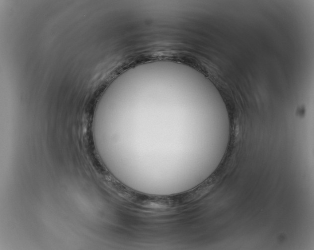 X0000112790567200908210942