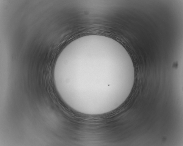 X0000112790568200908210942