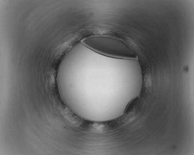 X0000112790570200908210942