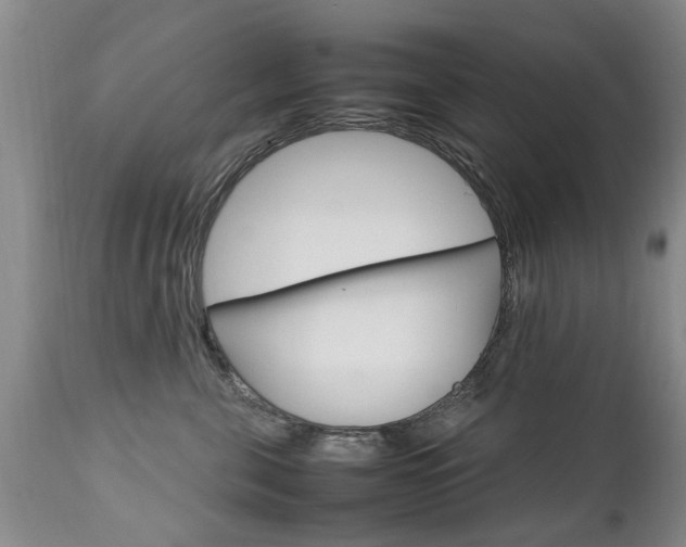 X0000112790571200908210942