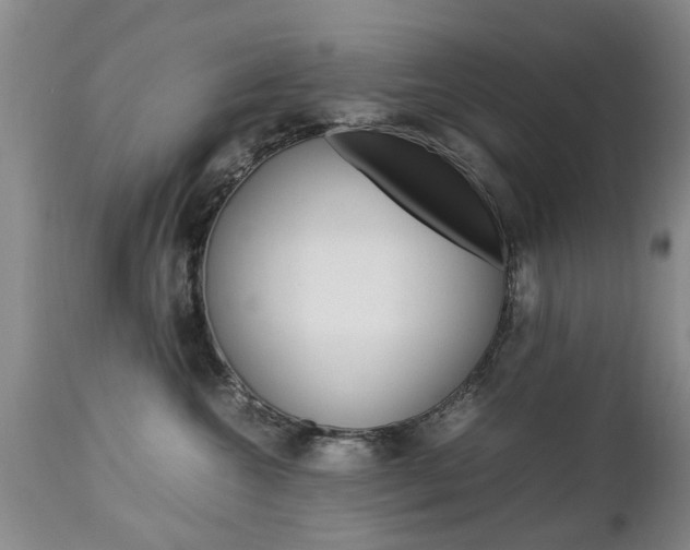 X0000112790572200908210942