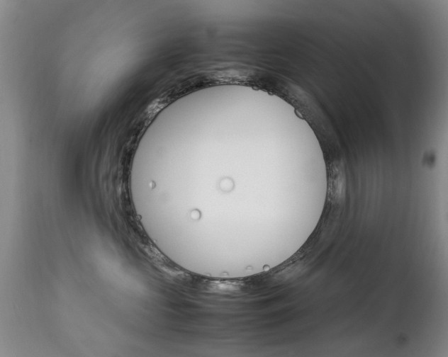 X0000112790573200908210942