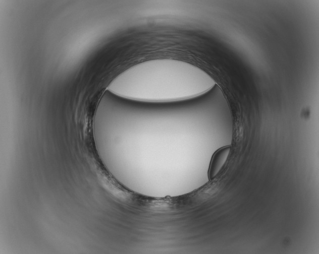 X0000112790574200908210942