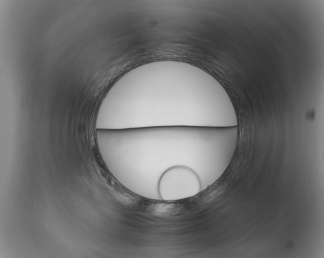 X0000112790575200908210942
