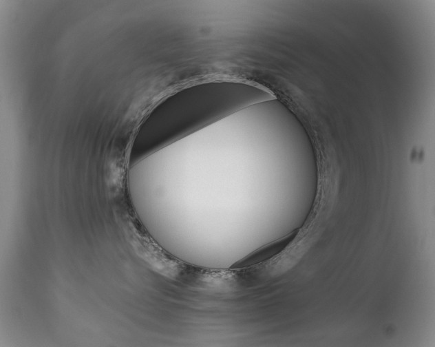 X0000112790576200908210942