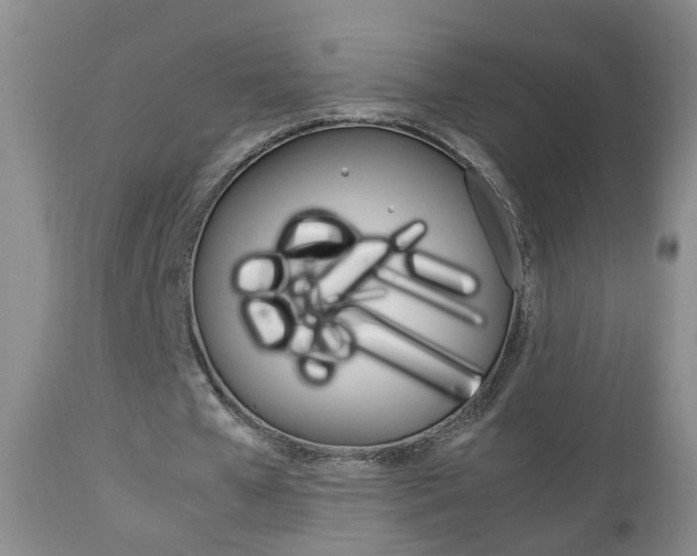 X0000112790577200908210941
